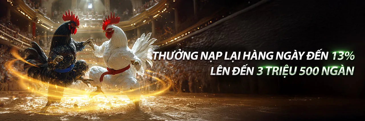 Đá Gà Thomo 7/5/2024 - Trải nghiệm cá cược đỉnh cao tại Hello88